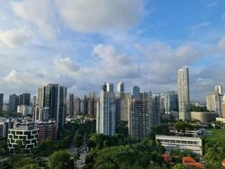 Irwell Hill Residences (D9), Apartment #460285541